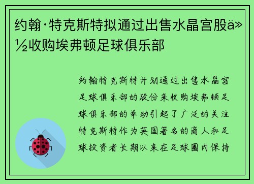 约翰·特克斯特拟通过出售水晶宫股份收购埃弗顿足球俱乐部